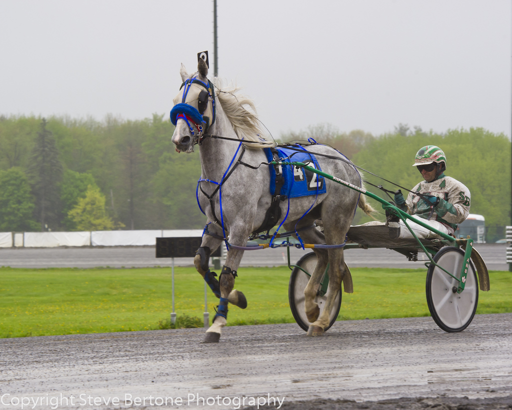 rainy-day-at-the-harness-track-2.jpg