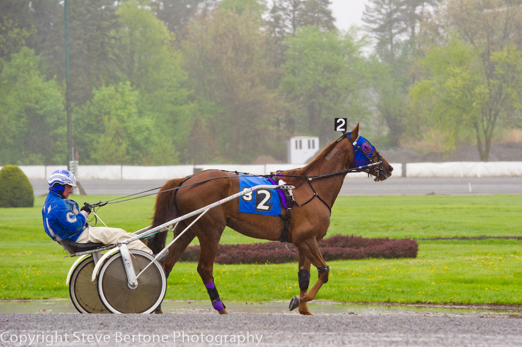 rainy-day-at-the-harness-track- (1).jpg