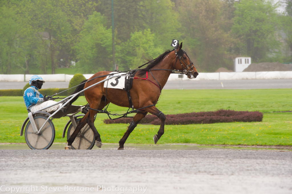 rainy-day-at-the-harness-track- (3).jpg