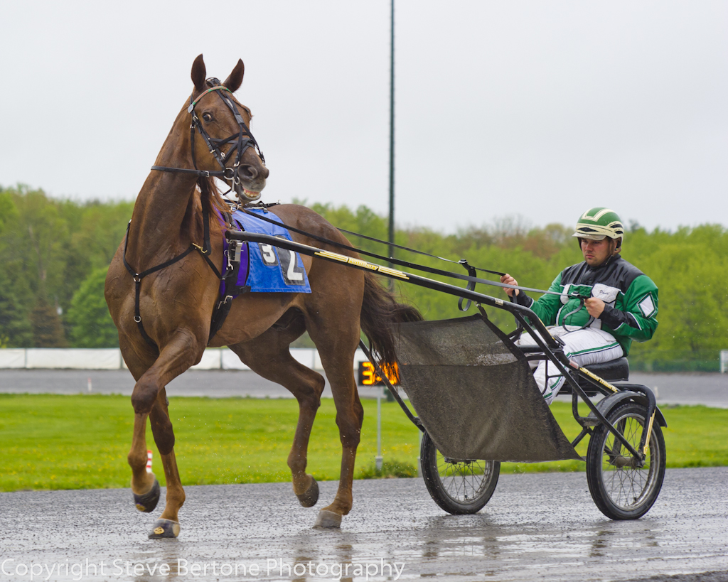 rainy-day-at-the-harness-track.jpg